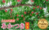JGAP認証 福島県産 あかつき 大玉 約2kg 2024年7月下旬～2024年8月中旬発送 先行予約 予約 伊達の桃 桃 もも モモ 果物 くだもの フルーツ 名産品 国産 食品 F20C-587
