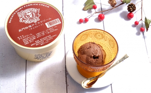 長門牧場アイスクリーム 480mlチョコレート2個セット