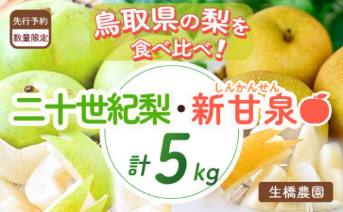 新甘泉 と 二十世紀梨 の食べ比べセット 5kg【鳥取県産】(生橋農園) 鳥取 梨 果物 フルーツ 和梨 先行予約 数量限定 詰め合わせ 新甘泉 二十世紀梨 20世紀梨