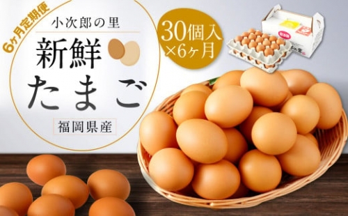 【6ヶ月定期便】鶏卵 30ヶ入×6回 合計180個 たまご 福岡県産 306395 - 福岡県嘉麻市