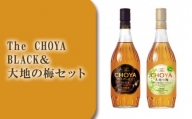 C042 The CHOYA BLACK&大地の梅セット / お酒 梅酒 南高梅 熟成 大阪府