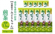 M95-0029_希少な香川のお茶【高瀬銘茶・みどりちゃん】煎茶100g×11袋（1.1kg）