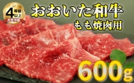 おおいた和牛もも焼肉用 600g お楽しみ 牛肉 お肉 もも ＜123-001_5＞