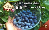 大分県久住高原産 『手摘みブルーベリー』 冷凍ブルーベリー 1kg