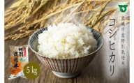 KBS-1　鹿嶋市の子どもたちが食べている特別栽培米コシヒカリ（5kg×1袋） 白米 こしひかり 精米 お米 茨城県産 国産 送料無料