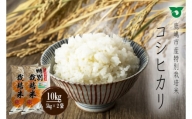 KBS-2　鹿嶋市の子どもたちが食べている特別栽培米コシヒカリ（5kg×2袋 計10kg） 白米 こしひかり 精米 お米 茨城県産 国産 送料無料
