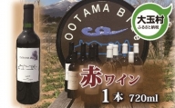 【数量限定】ワイン　赤 メルロ種　720ml 1本（ootama blue）【20001】