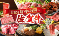 【全12回定期便】日常に贅沢をプラス 佐賀牛セット 【肉の三栄】 [HAA075] 佐賀牛 月替わり スライス ステーキ すき焼き ロース サイコロ 切り落とし ハンバーグ  A5 牛肉