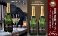 MY307 宮若市「さくら」エッチングボトル シャンパン 2本セット