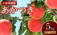 福島県産 あかつき 5kg 2024年7月下旬～2024年8月上旬発送 先行予約 予約 伊達の桃 桃 もも モモ 果物 くだもの フルーツ 名産品 国産 食品 F20C-591