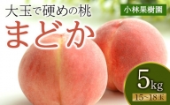 福島県産 まどか 5kg 2024年8月上旬～2024年8月中旬発送 先行予約 予約 大玉 固め 伊達の桃 桃 もも モモ 果物 くだもの フルーツ 国産 食品 F20C-592