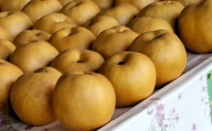 【2022年9月上旬発送開始】 大香園の梨 3.0kg 梨 果物 フルーツ