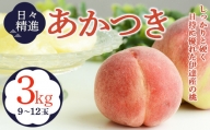 福島県産 あかつき 3kg 2024年7月下旬～2024年8月中旬発送 先行予約 予約 伊達の桃 桃 もも モモ 果物 くだもの フルーツ 名産品 国産 食品 F20C-608