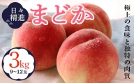 福島の桃 【日々精進】まどか 3kg（9～12玉） 伊達市産桃 先行予約 フルーツ 果物 もも モモ momo F20C-609