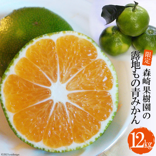 CD001 限定！森崎果樹園の露地もの青みかん（12kg）[みかん ミカン オレンジ 果物 くだもの フルーツ 酸味 露地もの 青もの 長崎県 島原市] 309143 - 長崎県島原市