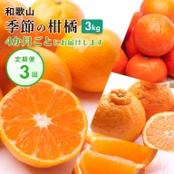 季節の柑橘3kg【和歌山有田】厳選【4か月ごと/全3回】フルーツ定期便・頒布会