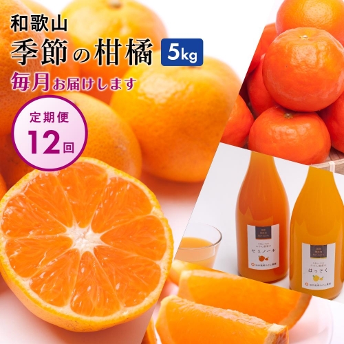 季節の柑橘5kg【和歌山有田】厳選【毎月/全12回】フルーツ定期便・頒布会