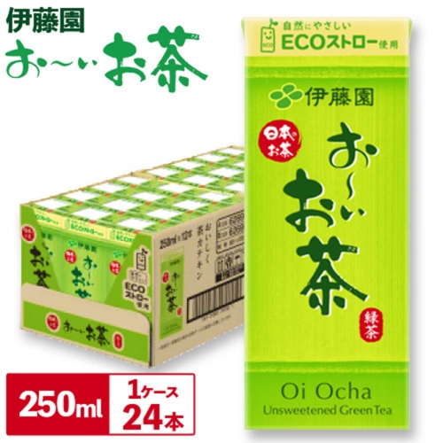 紀の川市産 紙パック飲料 おーいお茶 250ml×24本 1ケース 株式会社