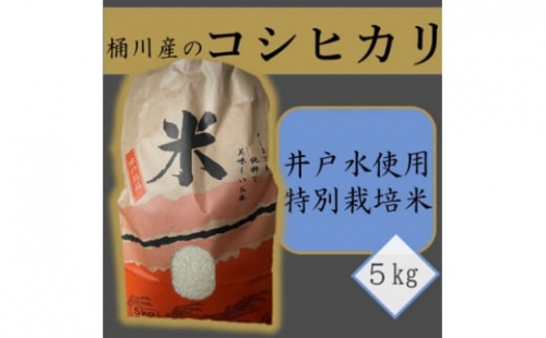 桶川産のコシヒカリ(井戸水使用・特別栽培米)5kg 精米【1352042】
