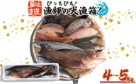 魚 鮮魚 ボックス 4kg～5kg 旬 鮮度 抜群 おまかせ 詰め合わせ 海鮮 魚介 新鮮 高知県 須崎市 MT005