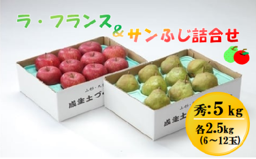 08-05-017　ラ・フランス&サンふじ詰合せ約5kgセット