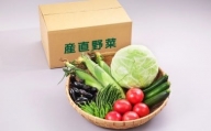 06A3010A　天童産・産直野菜の詰め合わせ(7月分)
