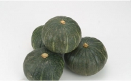 かぼちゃ（粉質系）5～6玉　10kg