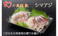 幻の高級魚 縞鯵 シマアジ お刺身セット KS007