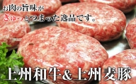 手作り王様のハンバーグ（150g×6個）手ごね ハンバーグ 銘柄豚 ブランド豚 豚 肉 上州麦豚 上州和牛 牛肉 豚肉 セット お弁当 おかず 冷凍 F20E-954