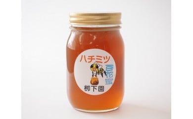 No.009 厚木産のハチミツ(百花蜜)600g ／ 蜂蜜 はちみつ ハニー 神奈川県