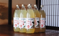 【朝日町産りんご果汁100％】りんごジュースセット(1L×6本)