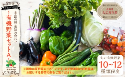 【有機JAS認定】季節の野菜 詰め合わせ 10種類～12種類程度 有機野菜セットA 北海道北広島市