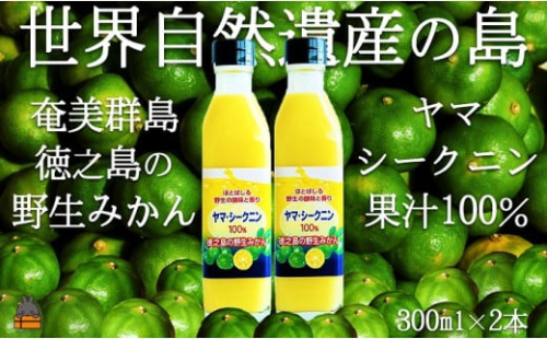 140 ～野生の島みかんの味～徳之島のヤマ・シークニン果汁（300ml×2本） ( 調味料 柑橘 果物 薬味 果汁 香り 酸味 ドレッシング 野生みかん  みかん ヤマシークニン 奄美 鹿児島 鍋 焼き魚 料理  お酒 焼酎 酸味 ダイキチ食品 ) 311056 - 鹿児島県徳之島町