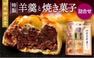 特製羊羹と焼き菓子(最中・桐華・深山・とこしゑ・栗万頭)詰合せ_M058-001_01