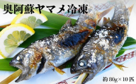 奥阿蘇 ヤマメ 80g×10匹 計800g 冷凍 山女魚 熊本県高森町産