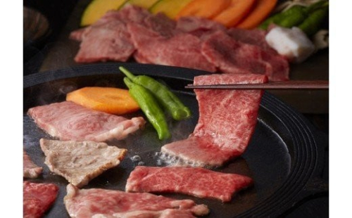 2 特撰飛騨牛A5等級 焼肉用1.6kg超 311744 - 岐阜県各務原市