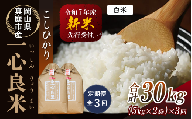 [令和7年産先行予約][全3回定期便] 真庭市産コシヒカリ 米ぬか 牡蠣栽培米『一心良米』 白米10kg(5kg×2袋)×3回(定期便) / お米 いっしんりょうまい 岡山県 真庭市 白米 米 コシヒカリ こしひかり 人気 ブランド米 新米 先行予約 定期便 令和7年産 2025年産