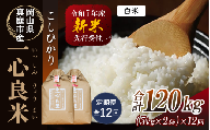 【令和7年産先行予約】＜全12回定期便＞ 真庭市産コシヒカリ 米ぬか 牡蠣栽培米 『 一心良米 』 白米 １０kg(5kg×2袋）×１２回（定期便） / お米 いっしんりょうまい 岡山県 真庭市 白米 米 コシヒカリ こしひかり 人気 ブランド米 新米 先行予約 定期便 令和7年産 2025年産