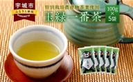 くまモン 玉緑一番茶 100g×5袋セット 緑茶 日本茶 一番茶