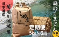 【定期便6回】 熊本県産 「森のくまさん」 5kg×6か月 | 米 こめ お米 おこめ 森のくまさん 精米 白米 熊本県 玉名市 定期 定期便