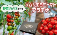 ソムリエミニトマト・プラチナ ( 3kg ) | 野菜 やさい トマト とまと ミニトマト みにとまと 熊本県 玉名市