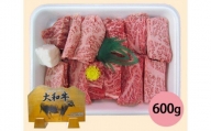 No.020 大和牛ロース焼肉用600g（折箱入り） ／ 牛肉 黒毛和牛 やきにく 奈良県 特産品
