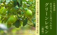 [10〜11月発送] 大崎上島産 皮まで丸ごと食べられる露地グリーンレモン約3kg
