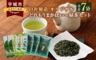 緑茶 自社製造！オリジナルどれもうまかばい~緑茶セット