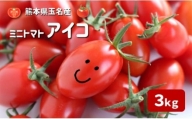 『かめまる農園』ミニトマト アイコ 3kg 熊本県玉名市産 | 野菜 やさい トマト とまと ミニとまと 熊本県 玉名市