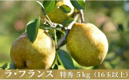 山形県を代表する秋の味覚のひとつといえばラ・フランス（洋梨）。県内で統一された出荷日のもとに販売が始まる、まさにチーム山形として力を注ぐ県産品です。果汁がしたたる「とろけるような食感」と口いっぱいに広