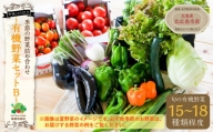 【有機JAS認定】季節の野菜 詰め合わせ 15種類～18種類程度 ～満喫セット～ 北海道北広島市