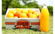[4月価格改定予定] ④自然塾 みかん &まるごと果汁詰合せ[1回] 果物 ジュース 柑橘