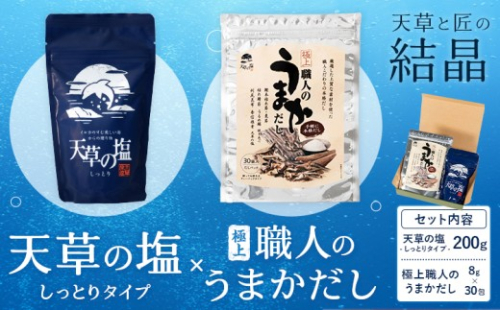天草の塩・極上職人のうまかだしセット 天草の塩(しっとりタイプ) 200g 極上職人のうまかだし 8g×30包 九電産業株式会社 《30日以内に出荷予定(土日祝除く)》熊本県 苓北町 塩 だし salt だしパック 和食 調味料 天草の塩 天草 苓北 熊本 送料無料 313666 - 熊本県苓北町