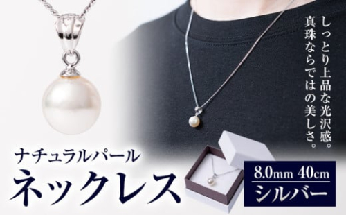 真珠 ナチュラルパール 8.0mm ネックレス40cm（SV） 有限会社 苓北真珠《90日以内に出荷予定(土日祝除く)》 貝 真珠 パール 天然 ネックレス アクセサリー 熊本県 苓北町